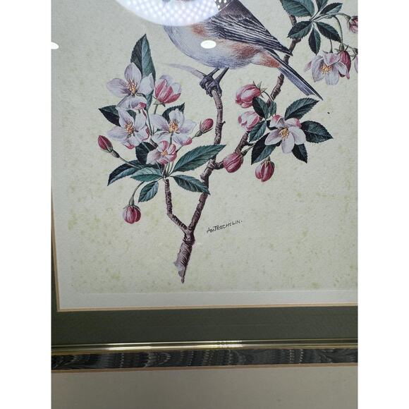 Beautiful Vintage Gold Framed Chickadee Lithograph Signed , Vintage Bird Print - Picture 8 of 9